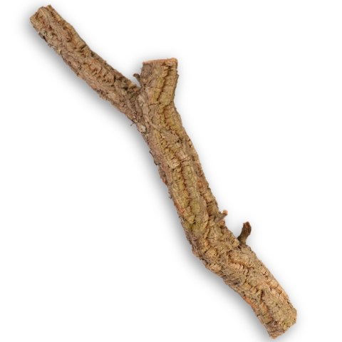 Drzewko z Dębu korkowego 40cm Drzewko z Dębu korkowego 40cm
