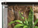 EXO TERRA Monsoon Solo - zraszacz automatyczny 1,5l