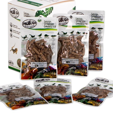 ProBugs Eco-Fresh Black Solider Fly Larvae 20g - świeże larwy muchy czarnej ProBugs Eco-Fresh Black Solider Fly Larvae 20g - świeże larwy muchy czarnej