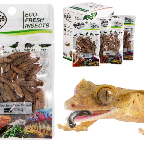 ProBugs Eco-Fresh Black Solider Fly Larvae 20g - świeże larwy muchy czarnej ProBugs Eco-Fresh Black Solider Fly Larvae 20g - świeże larwy muchy czarnej