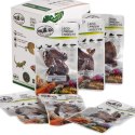 ProBugs Eco-Fresh Dubia Cockroach 5pcs - świeże karaczany argentyńskie