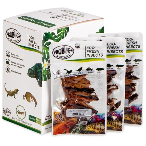 ProBugs Eco-Fresh Grasshopper 8pcs - świeże koniki polne ProBugs Eco-Fresh Grasshopper 8pcs - świeże koniki polne