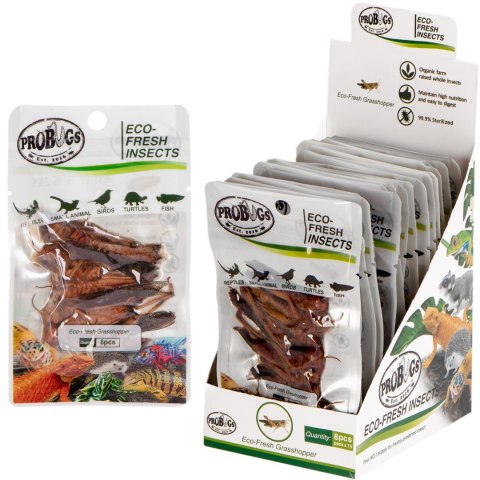 ProBugs Eco-Fresh Grasshopper 8pcs - świeże koniki polne ProBugs Eco-Fresh Grasshopper 8pcs - świeże koniki polne