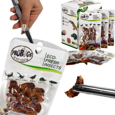 ProBugs Eco-Fresh Silkworm 15 x 15g - świeże larwy jedwabnika 15 saszetek ProBugs Eco-Fresh Silkworm 15 x 15g - świeże larwy jedwabnika 15 saszetek