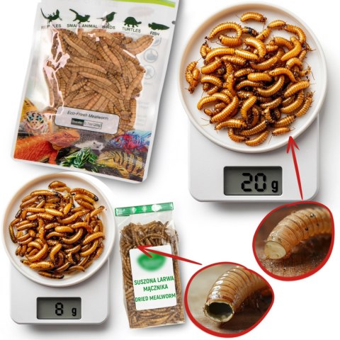 ProBugs Eco-Fresh Superworm 15 x 20g - świeże larwy drewnojada 15 saszetek ProBugs Eco-Fresh Superworm 15 x 20g - świeże larwy drewnojada 15 saszetek