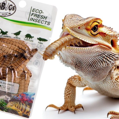 ProBugs Eco-Fresh Superworm 15 x 20g - świeże larwy drewnojada 15 saszetek ProBugs Eco-Fresh Superworm 15 x 20g - świeże larwy drewnojada 15 saszetek