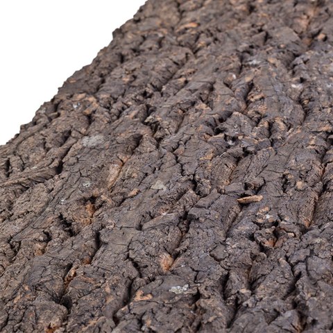 Repti-Zoo Big Tree Background - tło z kory do terrarium 45x45cm Repti-Zoo Big Tree Background - tło z kory do terrarium 45x45cm
