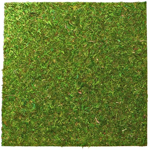 Repti-Zoo Natural Moss Back&Bottom - tło i podłoże z mchu 45x45cm Repti-Zoo Natural Moss Back&Bottom - tło i podłoże z mchu 45x45cm