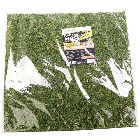 Repti-Zoo Natural Moss Back&Bottom - tło i podłoże z mchu 45x45cm Repti-Zoo Natural Moss Back&Bottom - tło i podłoże z mchu 45x45cm