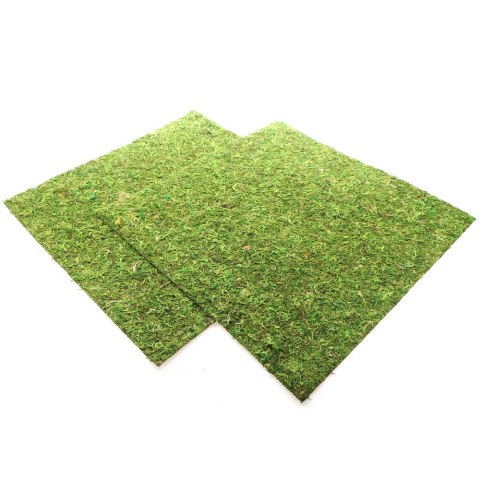 Repti-Zoo Natural Moss Back&Bottom - tło i podłoże z mchu 45x45cm Repti-Zoo Natural Moss Back&Bottom - tło i podłoże z mchu 45x45cm