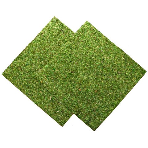 Repti-Zoo Natural Moss Back&Bottom - tło i podłoże z mchu 45x45cm Repti-Zoo Natural Moss Back&Bottom - tło i podłoże z mchu 45x45cm