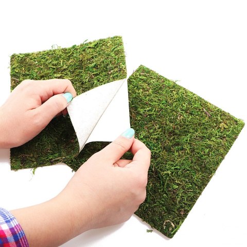 Repti-Zoo Natural Moss Back&Bottom - tło i podłoże z mchu 45x45cm Repti-Zoo Natural Moss Back&Bottom - tło i podłoże z mchu 45x45cm
