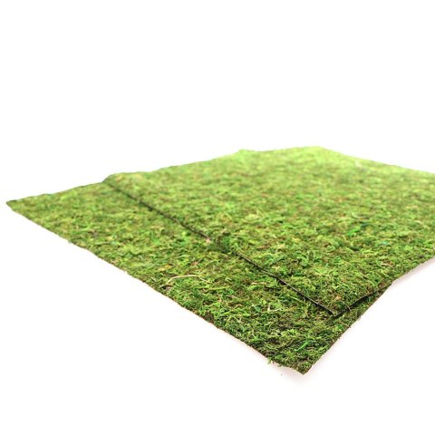 Repti-Zoo Natural Moss Back&Bottom - tło i podłoże z mchu 45x45cm Repti-Zoo Natural Moss Back&Bottom - tło i podłoże z mchu 45x45cm