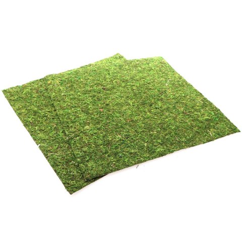 Repti-Zoo Natural Moss Back&Bottom - tło i podłoże z mchu 45x45cm Repti-Zoo Natural Moss Back&Bottom - tło i podłoże z mchu 45x45cm