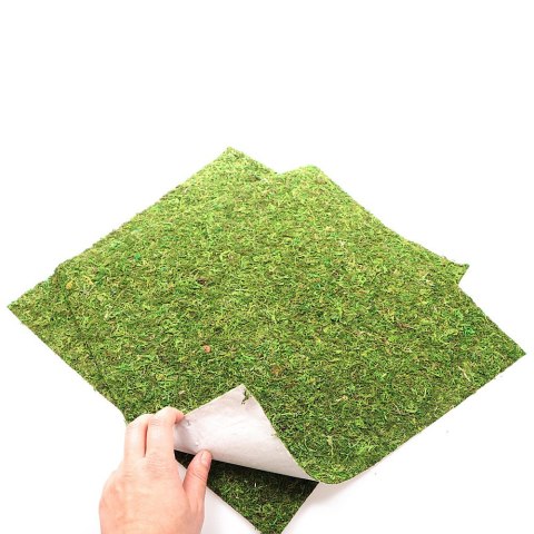 Repti-Zoo Natural Moss Back&Bottom - tło i podłoże z mchu 45x45cm Repti-Zoo Natural Moss Back&Bottom - tło i podłoże z mchu 45x45cm