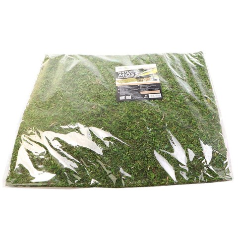 Repti-Zoo Natural Moss Back&Bottom - tło i podłoże z mchu 45x45cm Repti-Zoo Natural Moss Back&Bottom - tło i podłoże z mchu 45x45cm