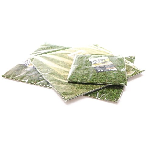 Repti-Zoo Natural Moss Back&Bottom - tło i podłoże z mchu 45x45cm Repti-Zoo Natural Moss Back&Bottom - tło i podłoże z mchu 45x45cm