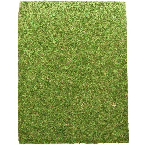 Repti-Zoo Natural Moss Back&Bottom - tło i podłoże z mchu 50x25cm Repti-Zoo Natural Moss Back&Bottom - tło i podłoże z mchu 50x25cm