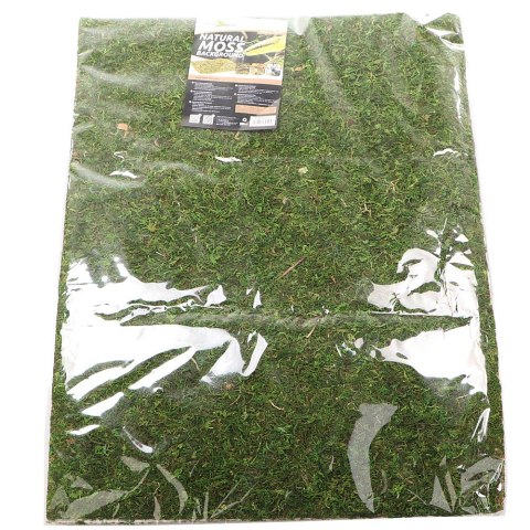 Repti-Zoo Natural Moss Back&Bottom - tło i podłoże z mchu 50x25cm Repti-Zoo Natural Moss Back&Bottom - tło i podłoże z mchu 50x25cm