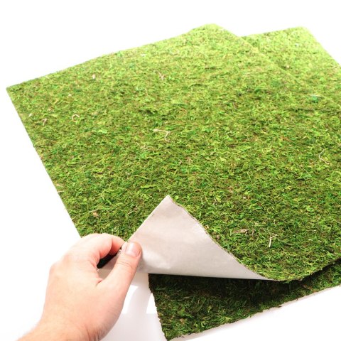Repti-Zoo Natural Moss Back&Bottom - tło i podłoże z mchu 50x25cm Repti-Zoo Natural Moss Back&Bottom - tło i podłoże z mchu 50x25cm