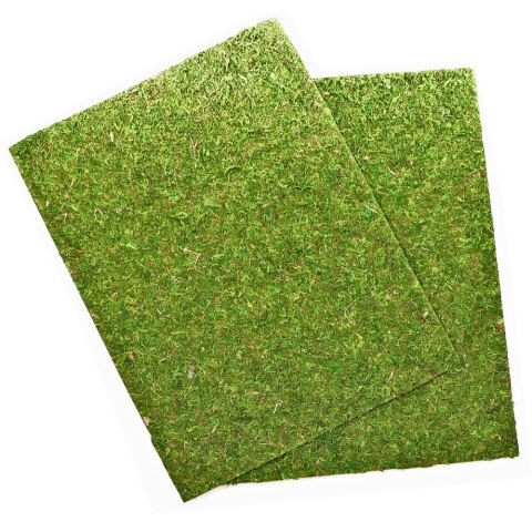 Repti-Zoo Natural Moss Back&Bottom - tło i podłoże z mchu 50x25cm Repti-Zoo Natural Moss Back&Bottom - tło i podłoże z mchu 50x25cm
