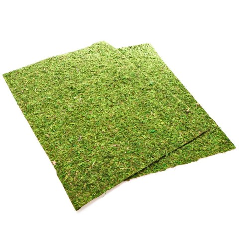 Repti-Zoo Natural Moss Back&Bottom - tło i podłoże z mchu 50x25cm Repti-Zoo Natural Moss Back&Bottom - tło i podłoże z mchu 50x25cm