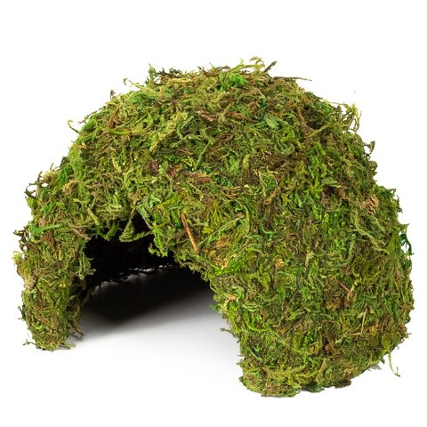 Repti-Zoo Natural Mossy Dome M - kryjówka z mchu Repti-Zoo Natural Mossy Dome M - kryjówka z mchu