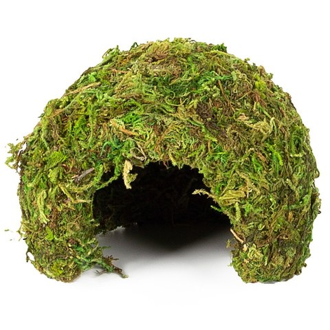 Repti-Zoo Natural Mossy Dome S - kryjówka z mchu Repti-Zoo Natural Mossy Dome S - kryjówka z mchu