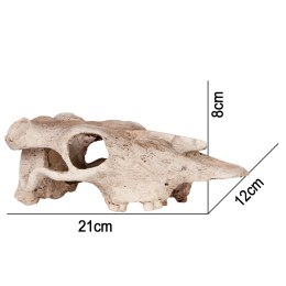 Terrario Buffalo Skull - czaszka bizona do terrarium 21x12x8 cm