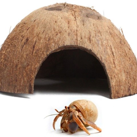 Terrario CocoCave L - połówka kokos gładki Terrario CocoCave L - połówka kokos gładki