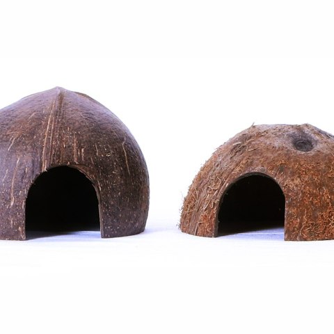 Terrario CocoCave L - połówka kokos gładki Terrario CocoCave L - połówka kokos gładki