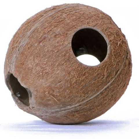 Terrario CocoLair - cały kokos naturalny Terrario CocoLair - cały kokos naturalny