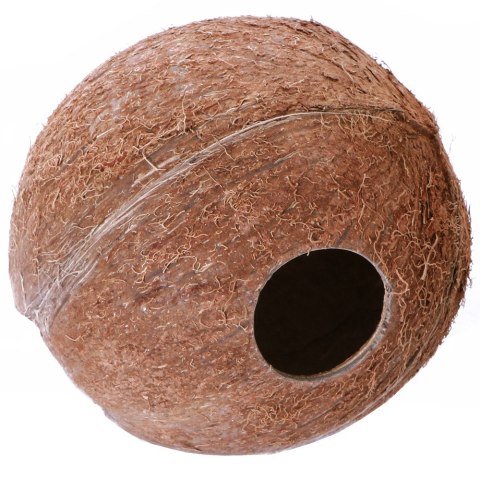 Terrario CocoLair - cały kokos naturalny Terrario CocoLair - cały kokos naturalny