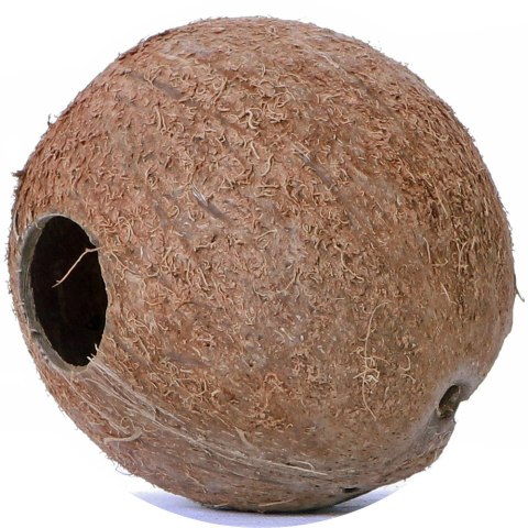 Terrario CocoLair - cały kokos naturalny Terrario CocoLair - cały kokos naturalny