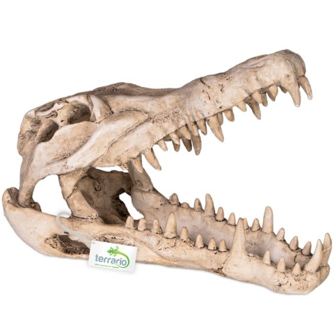 Terrario Crocodile Skull XL - czaszka krokodyla do terrarium 23x11x16 cm Terrario Crocodile Skull XL - czaszka krokodyla do terrarium 23x11x16 cm