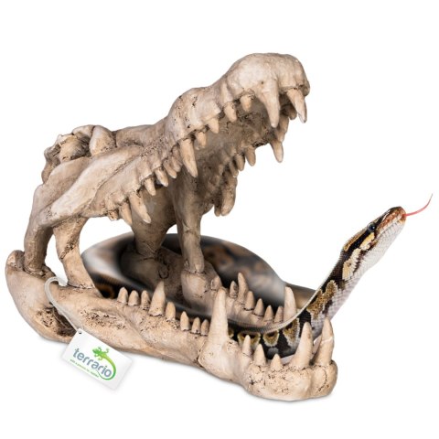 Terrario Crocodile Skull XL - czaszka krokodyla do terrarium 23x11x16 cm Terrario Crocodile Skull XL - czaszka krokodyla do terrarium 23x11x16 cm