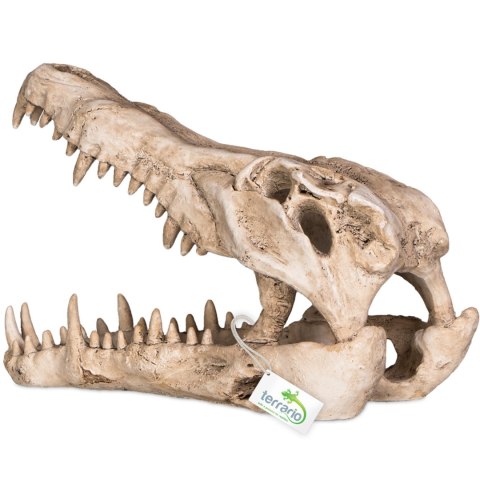 Terrario Crocodile Skull XL - czaszka krokodyla do terrarium 23x11x16 cm Terrario Crocodile Skull XL - czaszka krokodyla do terrarium 23x11x16 cm