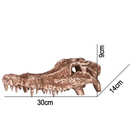 Terrario Crocodile Skull - czaszka krokodyla do terrarium 30x14x9 cm