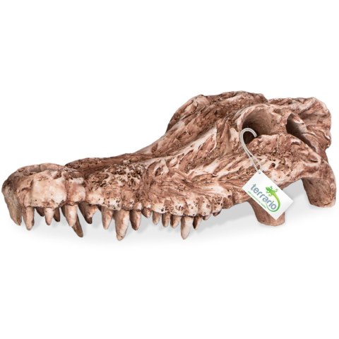 Terrario Crocodile Skull - czaszka krokodyla do terrarium 30x14x9 cm Terrario Crocodile Skull - czaszka krokodyla do terrarium 30x14x9 cm