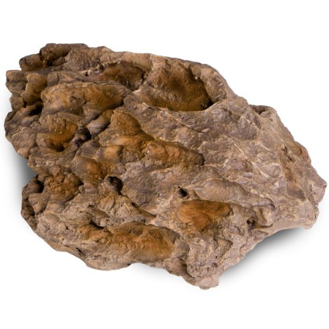 Terrario Dragon Stone M - kryjówka do terrarium 22x15x8cm Terrario Dragon Stone M - kryjówka do terrarium 22x15x8cm