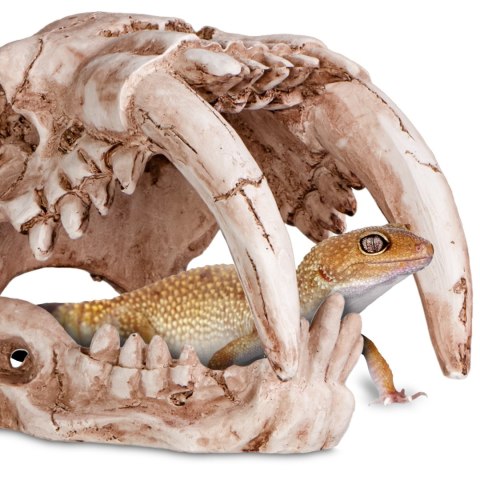Terrario Sabertooth Skull - czaszka tygrysa do terrarium 13x8,5x11 cm Terrario Sabertooth Skull - czaszka tygrysa do terrarium 13x8,5x11 cm