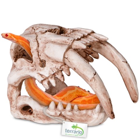 Terrario Sabertooth Skull - czaszka tygrysa do terrarium 13x8,5x11 cm Terrario Sabertooth Skull - czaszka tygrysa do terrarium 13x8,5x11 cm