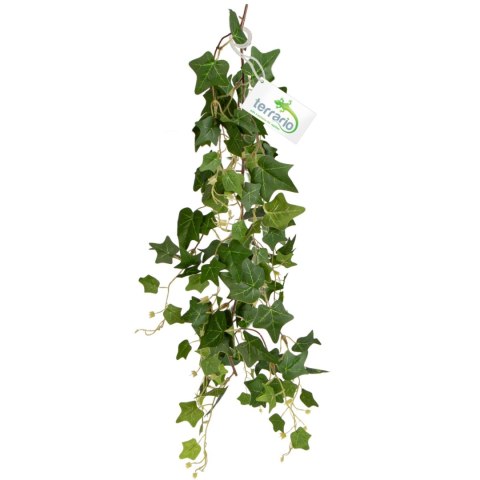 Terrario - Sztuczna Roślina do Terrarium - Bluszcz Zwisający 75 cm Terrario - Sztuczna Roślina do Terrarium - Bluszcz Zwisający 75 cm