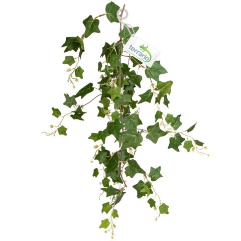 Terrario - Sztuczna Roślina do Terrarium - Bluszcz Zwisający 75 cm Terrario - Sztuczna Roślina do Terrarium - Bluszcz Zwisający 75 cm
