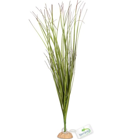 Terrario - Sztuczna roślina do terrarium i akwarium - Wysoka trawa 15x7x41 cm Terrario - Sztuczna roślina do terrarium i akwarium - Wysoka trawa 15x7x41 cm