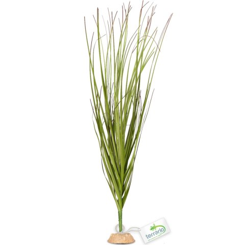 Terrario - Sztuczna roślina do terrarium i akwarium - Wysoka trawa 15x7x41 cm Terrario - Sztuczna roślina do terrarium i akwarium - Wysoka trawa 15x7x41 cm