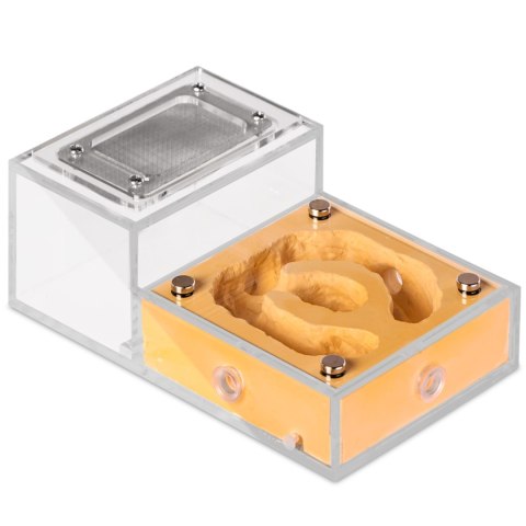 Ant Expert Gold Kingdom - formikarium akrylowe Ant Expert Gold Kingdom - formikarium akrylowe
