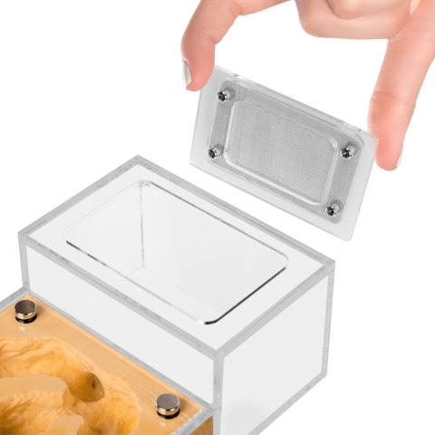 Ant Expert Gold Kingdom - formikarium akrylowe Ant Expert Gold Kingdom - formikarium akrylowe