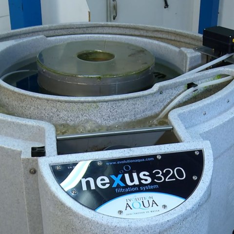 Evolution Aqua Nexus 320 International - filtr do oczka wodnego 68,000l Evolution Aqua Nexus 320 International - filtr do oczka wodnego 68,000l