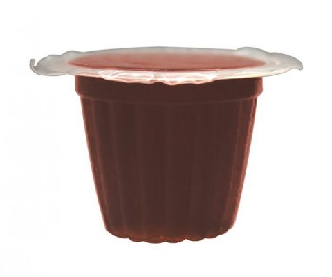 Komodo Jelly Pot Brown Sugar- pokarm brązowy cukier w żelu Komodo Jelly Pot Brown Sugar- pokarm brązowy cukier w żelu